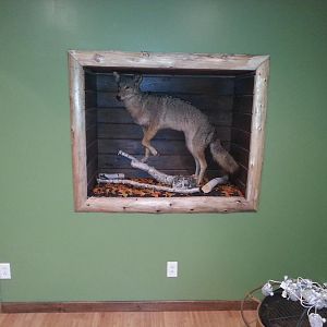 Not completely done but gives you an idea off hire its going to look.   Still going to put lights in it as well as closing it in with glass.