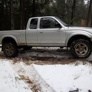 Off roading in my newly used Taco