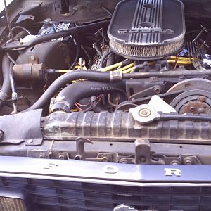 Mustang Pic's.jpg001