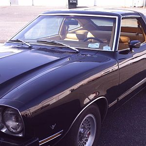 Mustang Pic's.jpg011