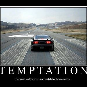 485935 10151371372200967 1687511374 n