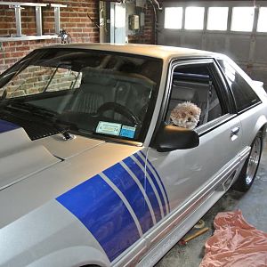 Back on straight.. Tough guy approved!!!