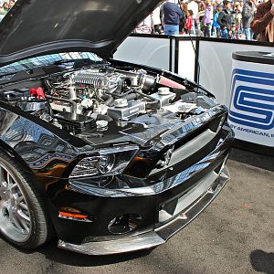 2013 Shelby 1000