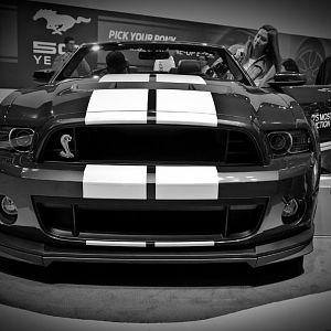 Shelby GT500