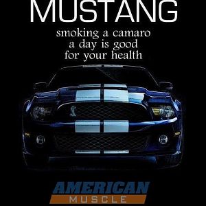 599291 10151788111594186 1212408745 n