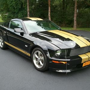 2006 Shelby 350 GT-H Hertz
