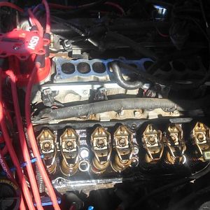 IMG 20130505 161013 288