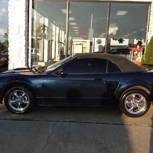 2003STANG - Pops (Added to the fam 5/13/13)
