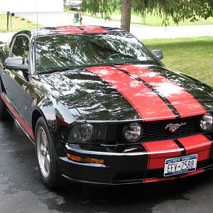 Stang 019