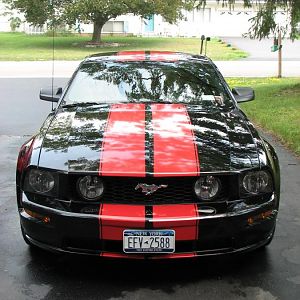 Stang 012