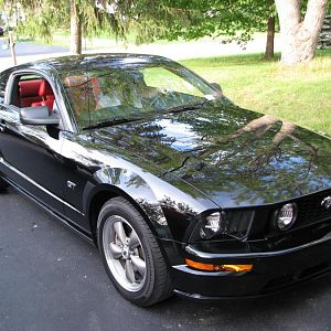 Stang 009