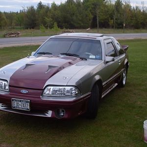 jasons car photos cont 257