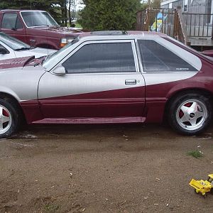 jasons car photos cont 247