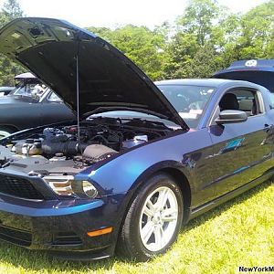 Carshow June 7th 2009 FlowerField
       Won 1st Place