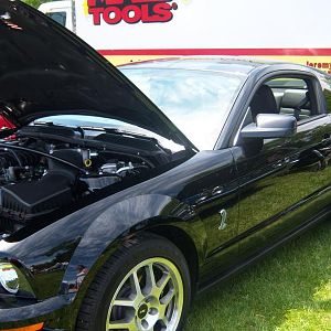 big car show 2009 028