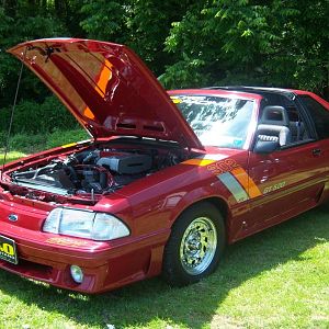 big car show 2009 055