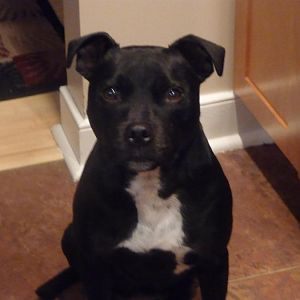 My fourth child(and my favorite)