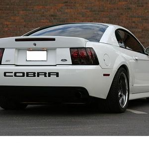 KISS MY ASS AND SAY GOODBYE!