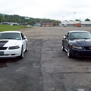 Bubba and my car at the wash