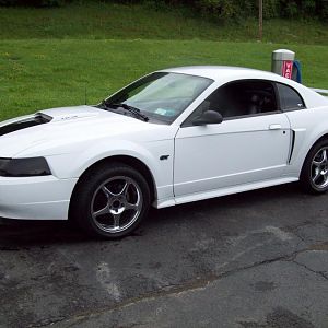 Bubba's GT Taking a Bath..