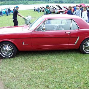65 mustang.