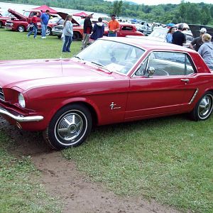 65 mustang..