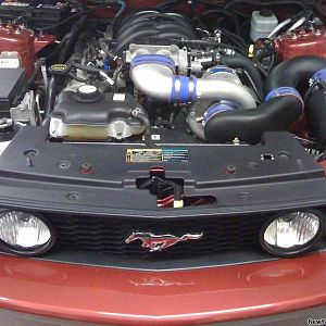 Power Steering Reservoir re-located!