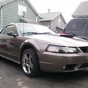 100 1094 Can't believe she shines so nice w/out  her 1st wax yet!!