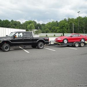 MUSTANG MAGIC Saturday June last week 2009 005