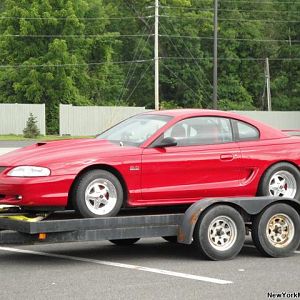 MUSTANG MAGIC Saturday June last week 2009 006