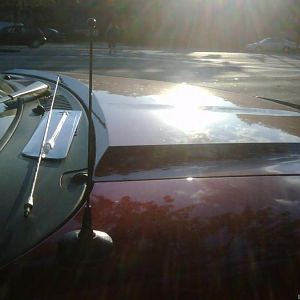 New 8" shorty antenna