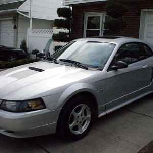 Mustang2