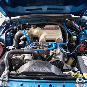 Fully built Roush bottom end
all Cobra upper dino' 340hp lots 
of future upgrades already in the 
works