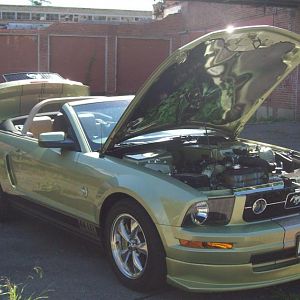 GreenGoblin at home?