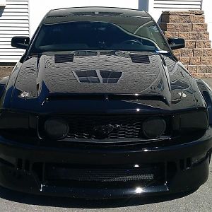 Front with Road Chip Freckles :(