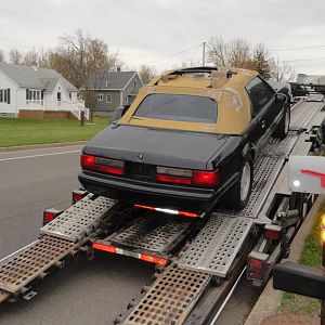 Delivery from Florida