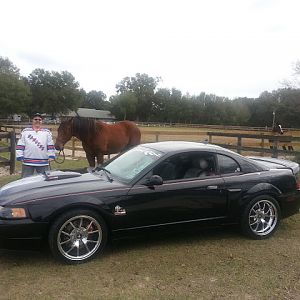 '99 MUSTANG meets real life MUSTANG-January 2013!