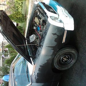 IMG00005 20100627 1746