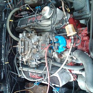 IMG00006 20100627 1751