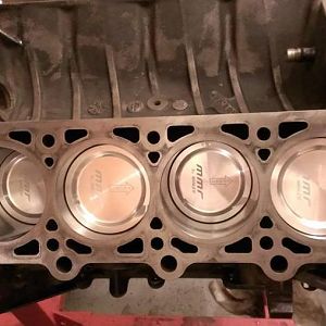 247621 10201523895568569 595048555 n