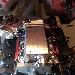 970598 10201552935214542 1423956646 n