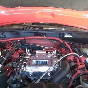 992924 10201585781755685 714190931 n