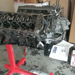 998813 10201530377370610 796367614 n