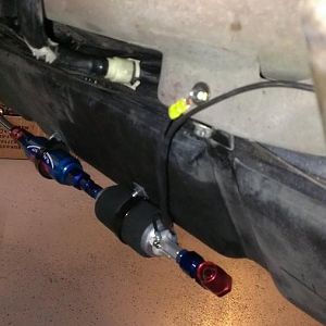 999317 10201431012646554 77484649 n