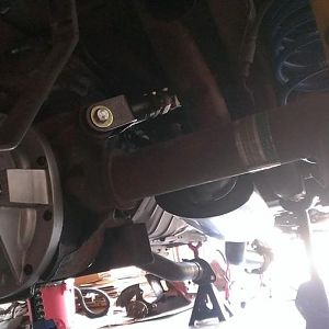 1000445 10201379590241026 715669474 n