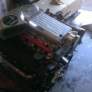 1010834 10201545819276648 404413376 n