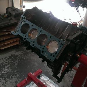 1011021 10201530376690593 1190366260 n