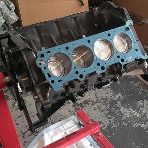 1011861 10201530376930599 1200807196 n