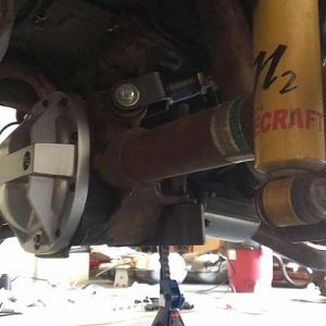 1014264 10201379589241001 1689008598 n