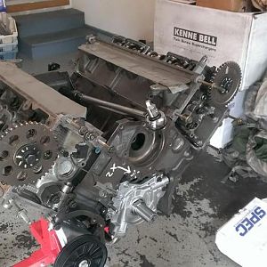 1016918 10201530376330584 222514776 n